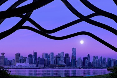 东莞南城1借钱空放利息揭秘：揭秘真实利率，助您明智贷款