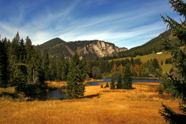 东莞南城1民间私贷攻略：揭秘低成本借贷的秘密