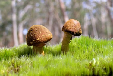 东莞南城1私人老板放款：轻松融资的秘密通道